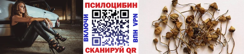Галлюциногенные грибы прущие грибы Армавир